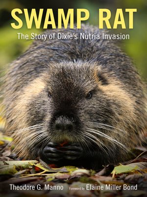 cover image of Swamp Rat